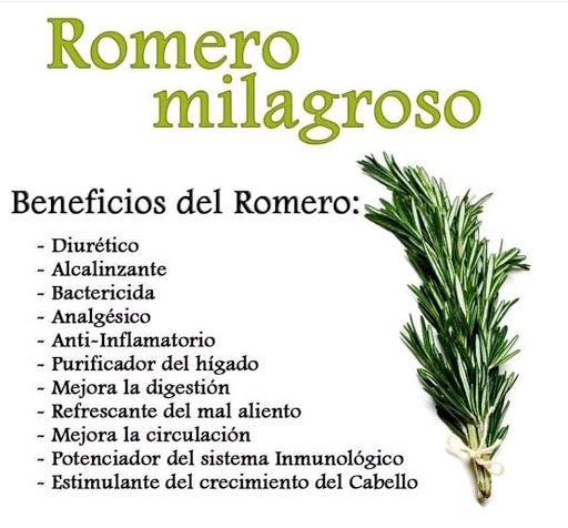 Salud Integral - Visual