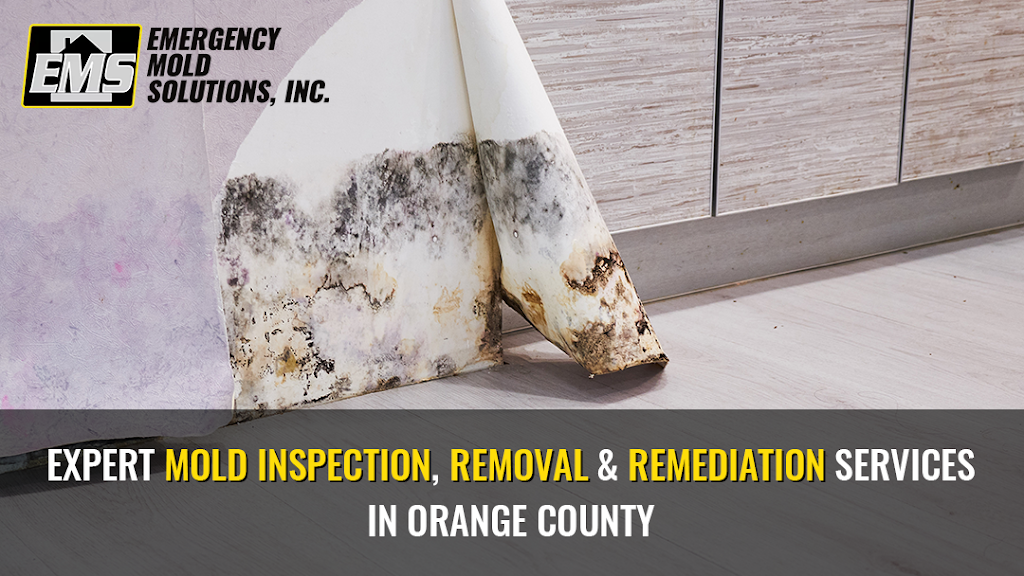 Emergency Mold Restoration of Orange County photo