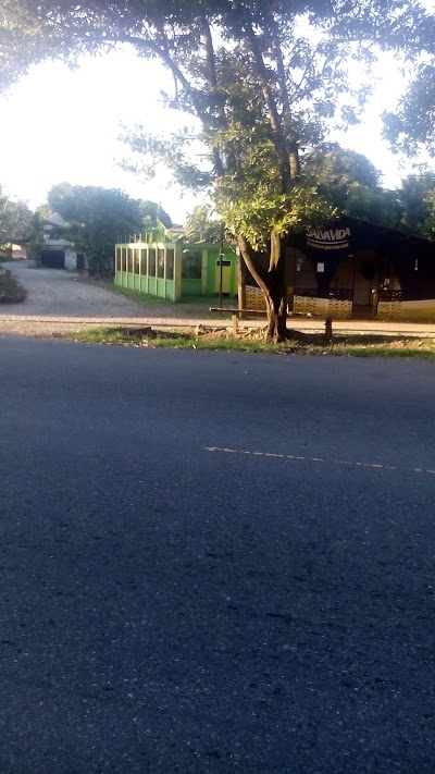 Photos of El Puma