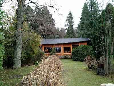 Photos of Pines Lake Resort