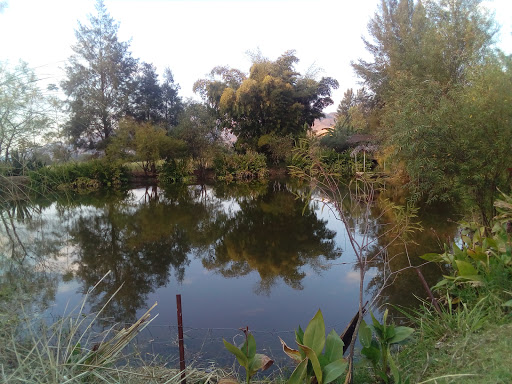 Rancho El Charro - Thumbnail