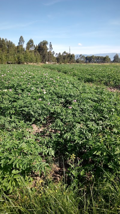 Photos of Excel Green Land Kirima