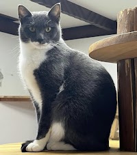 大きなおうち ハレルヤ(シェルター/保護施設/コミュニティハウス)