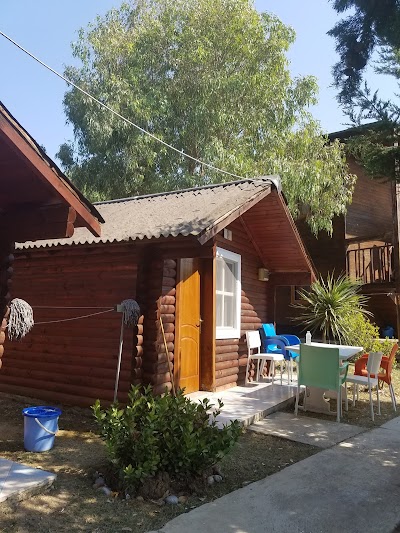 Photos of Plazhi i Generalit