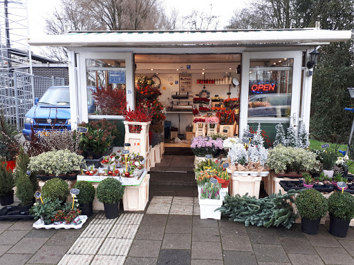 Bloemenstand vredehof - Thumbnail