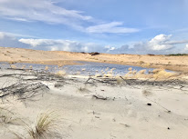 Conciergerie intendance Océane à Biscarrosse