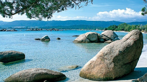 The Best Attractions In Sari Solenzara Destimap