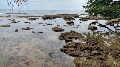 Photos of Gandoca Manzanillo National Wildlife Refuge
