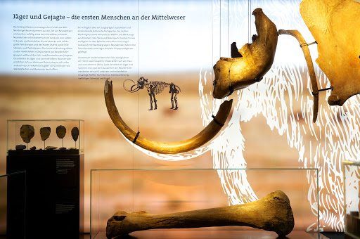 Museum Nienburg, Fresenhof