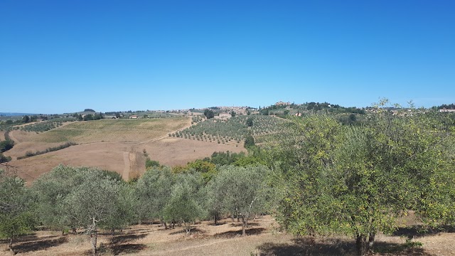 Fattoria Cerbaia