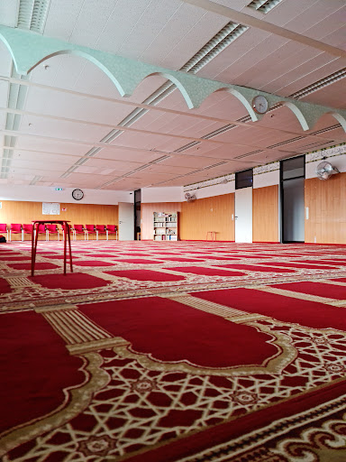 Omar Moschee - Visual