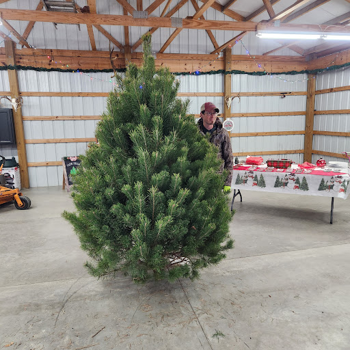 Cooper's Christmas Tree Farm - Thumbnail