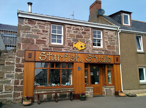 Starfish Studio - Visual