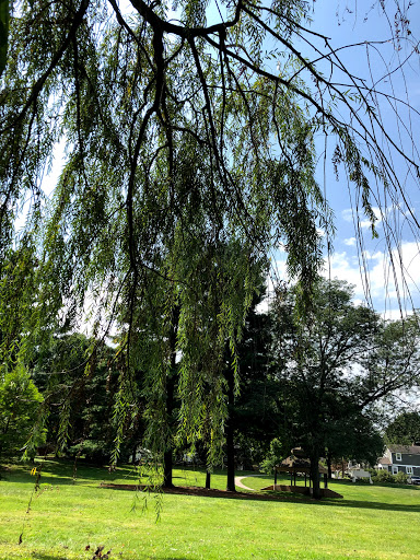 Aldis Park - Visual