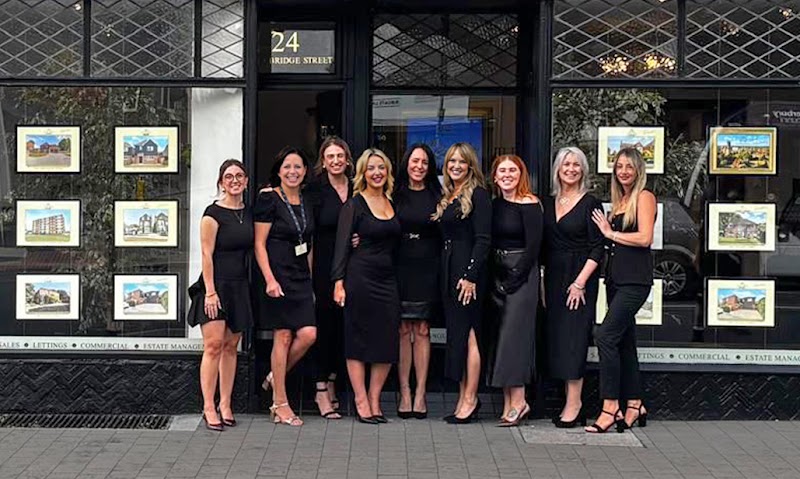 Guildcrest Estates Ltd photo 3