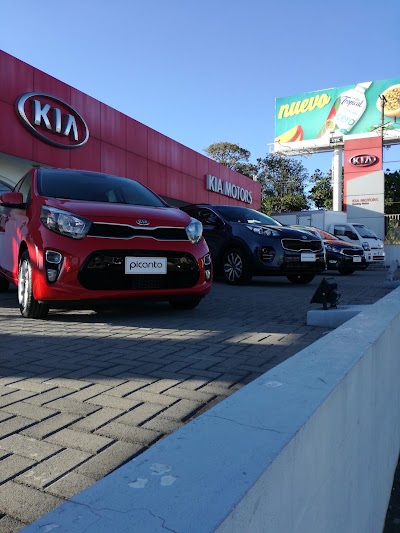 car-dealer