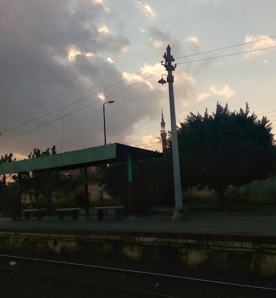 Photos of Mnyh Alqmh