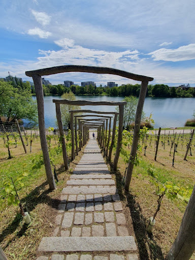 Treppe am seepark