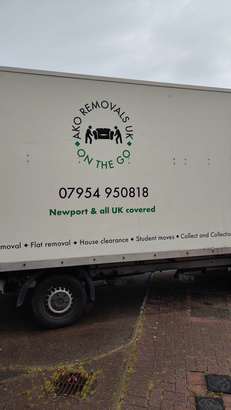 Newport & all UK man and van photo 2