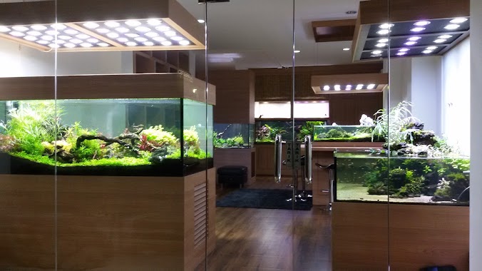 Greenbox Design, Author: Greenbox Aquascape