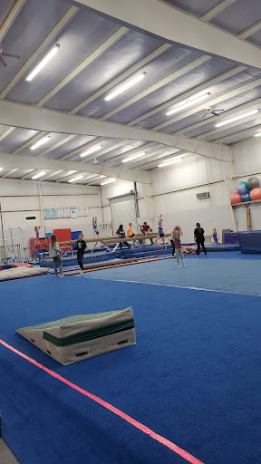 Level Up Gymnastics - Thumbnail