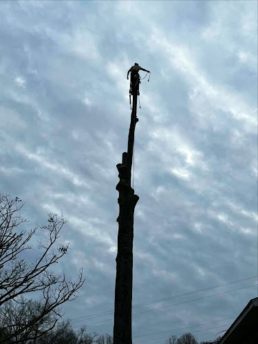 Grishabers ArborCare LLC