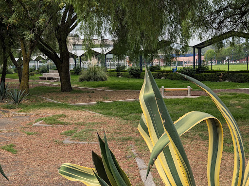 uam xochimilco - Thumbnail