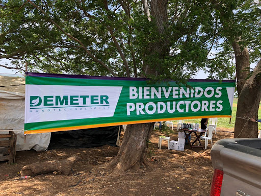 DEMETER NANOTECHNOLOGIES