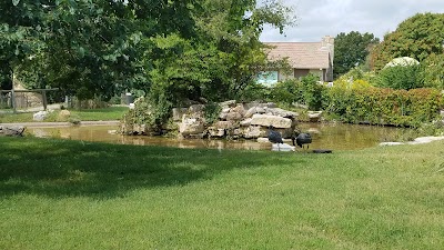 Waterfowl Exhibit