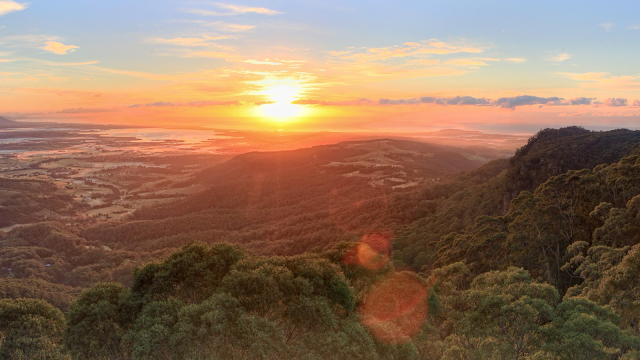 Illawarra Fly Treetop Walk