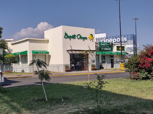 Space La Huerta
