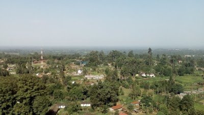 Photos of Kambaa Tea Factory