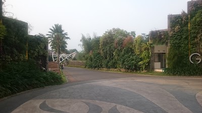 Photos of Greenland At Tidar Head Office