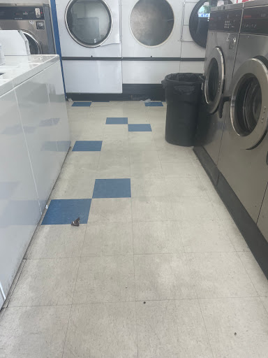 William's Freeport Laundry - Thumbnail