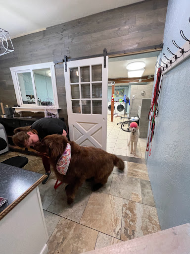 Le Pooch Spa & Boutique Gallery - United States