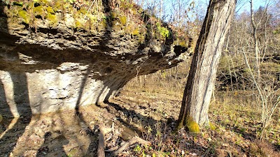 Shoemaker State Nature Preserve