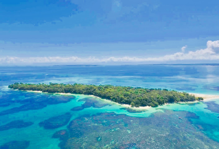 Sand Dollar Beach Bed and Breakfast by null