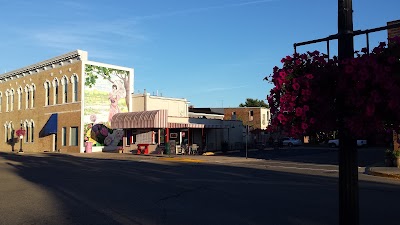 insurance-agency