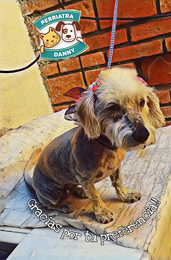 Veterinaria Perriatra Danny