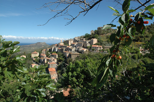 Photo de Résidence Lisa Maria - Vacancéole à Sari (20145)