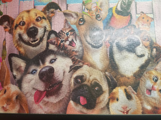 Chittenden Veterinary Clinic - Thumbnail