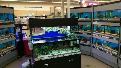 Petco