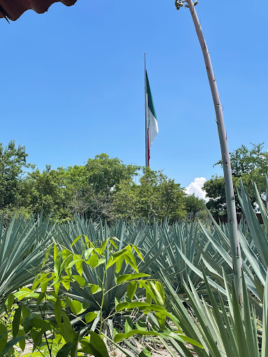 Finca Agroturistica El Tehuehue