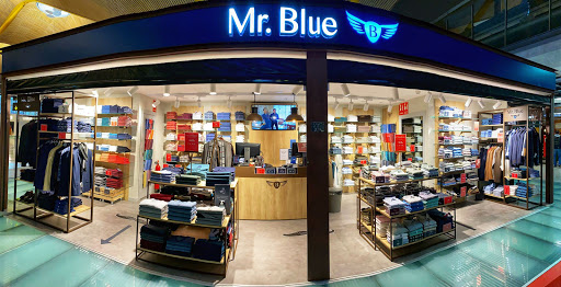 Mr. Blue - Visual
