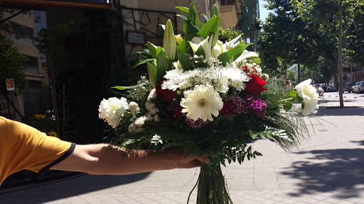 Florist La Plata - Thumbnail