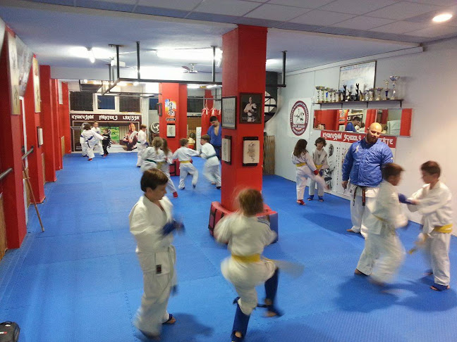 Opinii despre KYOKUSHIN SENSHIKAI DOJO LARISSA în Λάρισα - Γυμναστήριο