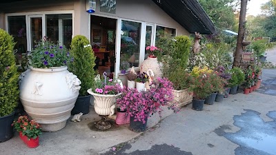 Photos of Kasımoğlu Fidanlık Tesisleri