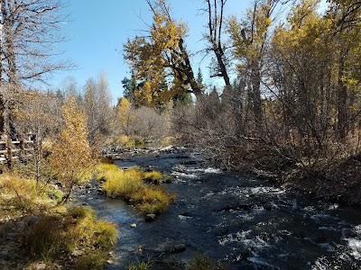 Taylor Creek Visitor Center: Salmon Run