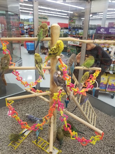 Petco