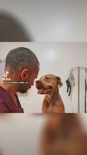 Opiniones de WORLD.ANIMAL.HEALTH VET en Guayaquil - Veterinario